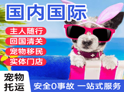 长白山空运国际宠物托运 【国